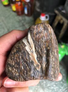 黑龙江天然明丝大叶草花玉桫椤化石标本原石观赏石雕刻料335克