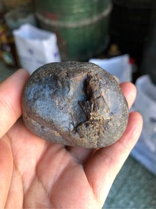 黑龙江天然彩色草花玉桫椤玉原石手把件雕刻料摆件162克