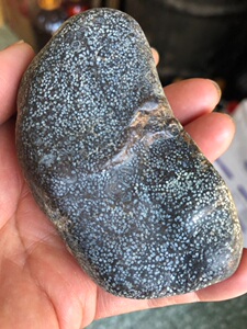 黑龙江天然满天星草花玉桫椤化石标本原石观赏石雕刻料211克