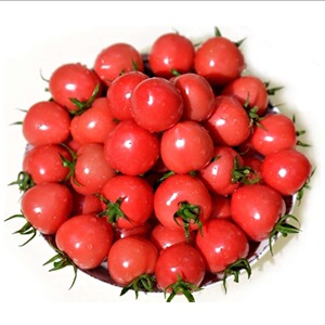 代代柿福云阳普罗旺斯新鲜圣女果粉贝农家自然熟小番茄蔬菜礼盒装