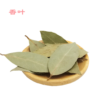 香叶10g 卤料香料调料10袋包邮炖肉香料月桂叶香辛料自然晒干香叶