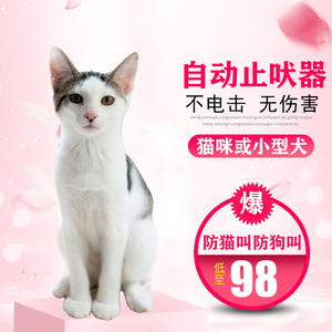 00 2人付款  淘宝 驱猫狗赶鸟防野猪鸡场防黄鼠狼兔子狐狸神器户外防