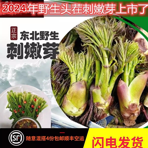 东北野生山菜刺嫩芽 新鲜刺老芽山野菜刺龙芽一份250克4份包顺丰