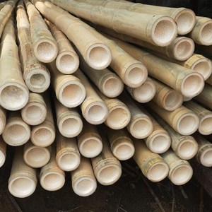 竹竿装饰装修毛竹子防腐竹杆屏风隔断栅栏搭架晾衣楠竹杆菜园