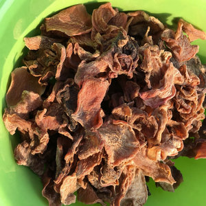 干 萝卜皮湖北特产农家手工切片自晒干红萝卜干片土特产1斤包邮