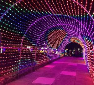 彩灯闪灯串灯光隧道拱门婚庆节日圣诞树灯装饰灯光节灯光秀通道