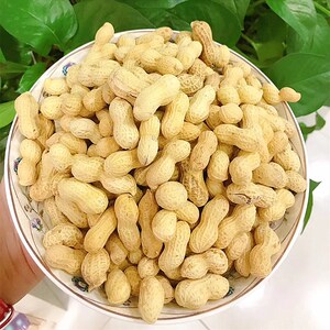 核桃味炒花生炒货花生下酒菜熟花生五香盐水小花生带壳5斤装包邮