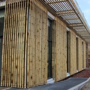 竹竿菜园搭架篱笆栅栏围栏跳舞彩旗装修竹杆仿真竹子装饰
