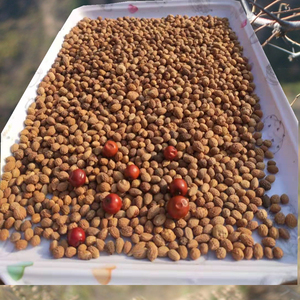 野生酸枣核原籽山枣核散籽手串料酸枣仁睡眠泡水枕芯料河北太行山