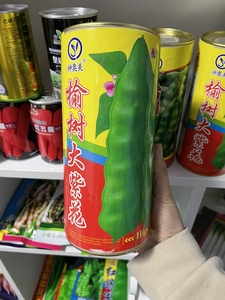 榆树大紫花豆角籽东北油豆角种子春季早熟大油豆种子一斤桶装包邮