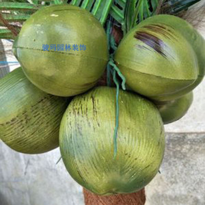 仿真椰子果假椰果仿真椰子树果实椰果道具椰果装饰拍摄道具塑料椰