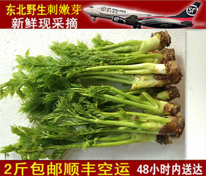 东北新鲜野生山菜