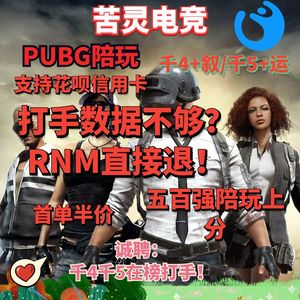 PUBG吃鸡绝地求生陪玩打手大师钻石带代练千4千5职业选手绿色科技