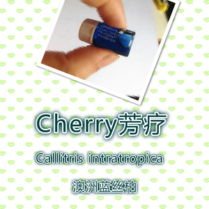 you机澳洲蓝丝柏精油 5ml,蓝色家族含愈创天蓝烃,蓝丝柏高品质