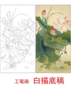 s567俞致贞国画工笔画花鸟荷花白描底稿四尺六尺临摹稿线描稿打印