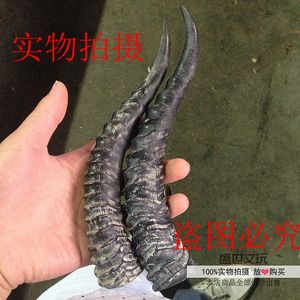 天然野生山羊角原材料黄羊角diy刀柄刀把弹弓材料烟嘴原料黑羊角