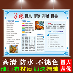 沙棘海报图中医养生宣传画定制美容院排毒排寒排酸十大功效广告纸