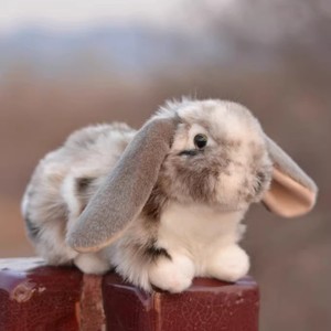 仿真兔子 Leporidae 长耳野兔 小白兔 车载毛绒玩具动物公仔玩偶
