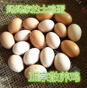 20个包邮四川新鲜土鸡蛋农家散养粮食喂养鸡月子蛋炒蛋食用农产品