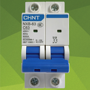 正泰小型断路器nxb-63 2p 63a 正泰空气开关二极 c型 c63正泰空开