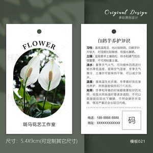 也门铁保养吊牌绿萝挂卡 碧玉养护卡片 绿植介绍卡片花卉标签防水