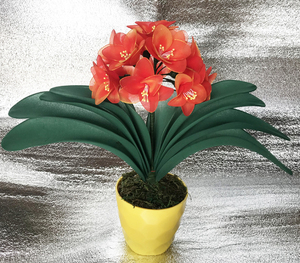 丝网花 君子兰材料包 丝袜花 diy手工制作 创意套餐包邮