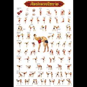 泰国进口古泰拳海报动作图108式招式壁画拳馆装饰画武馆挂画壁纸