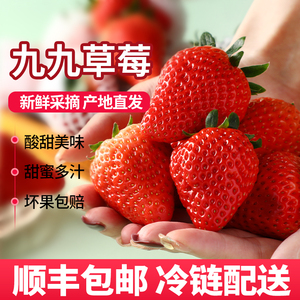 【现货】丹东草莓99红颜新鲜水果礼盒牛奶草莓新鲜牛奶奶油东港
