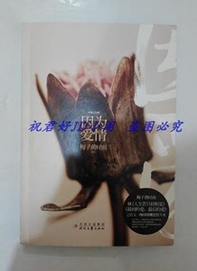 因为爱情  梅子黄时雨 时代文艺2011老版图书 原版书籍 正版小说