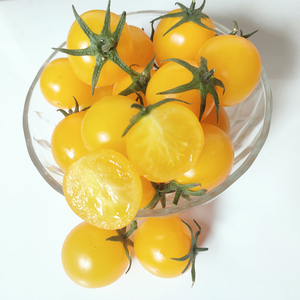 丹东特产黄色小柿子圣女果新鲜樱桃玲珑小番茄水果农产品顺丰包邮