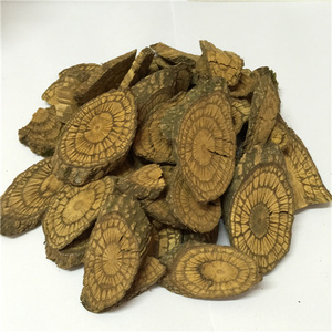 野生白春根 大春根 买麻藤 买子藤 乌骨风 麻骨风500g5斤包邮