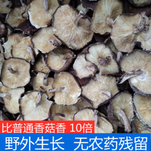 新货福建特产野生椴木香菇干货泉州农家木头香菇冬菇农家香菇500g