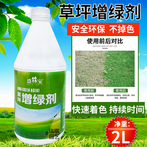 草坪专用增绿剂一喷绿染色剂草坪增绿剂素增绿素染色剂绿剂着色