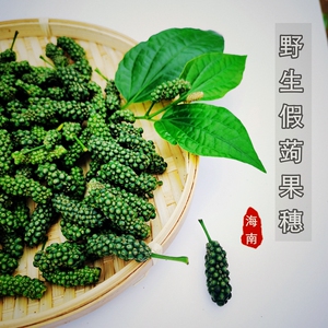 000人付款淘宝生鲜假蒌苗50棵 青蒌叶苗 蛤篓苗 假蒟苗 急捞苗最街