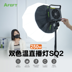 锐鹰AFEFT系列SQ2拍摄视频直播带货短视频抖音快手直播电商直播250W可调色温保荣口LED常亮补光灯