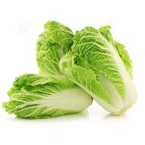 新鲜大白菜山东省蔬菜农家现摘青菜黄心鲜嫩叶多帮小白菜5斤包邮