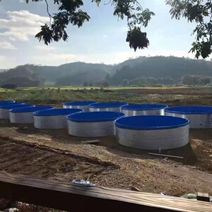 镀锌板帆布养鱼池圆形帆布鱼池高密度养殖池养虾池圆形大型防水池