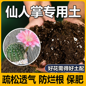 仙人掌专用营养土花肥家用盆栽通用型育苗有机花卉肥料东北黑泥土