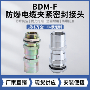 BDM-F 防爆电缆夹紧密封接头 304不锈钢/黄铜/碳钢接头 规格齐全