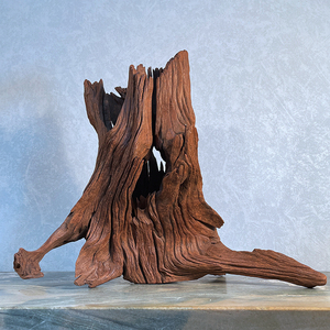 真紫柚小树桩(纹理老料)原生一体沉木南美景鱼缸树根镂空洞树型