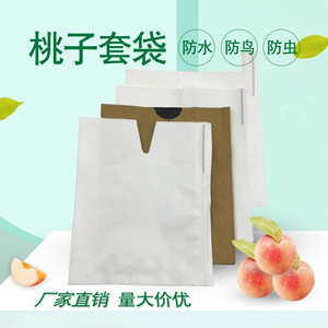 桃子梨套袋专用袋黄桃袋桃子纸袋蟠桃水蜜桃黄桃纸袋防虫防雨水防