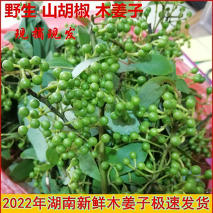 木姜子树