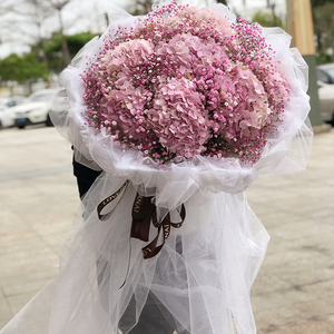 全国鲜花速递同城绣球满天星熊抱大花束深圳广州上海南京杭州花店
