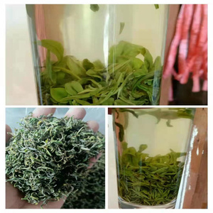 绿茶2022新芽茶佃马场茶叶赣榆金山绿茶明前茶散装一级春茶500g