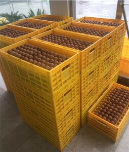 恒信折叠鸡蛋箱蛋箱鸡蛋盒子鸡蛋框鸡蛋筐塑料箱运输纯原料包邮