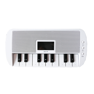 包邮  田老师钢琴伴奏器音乐播放器节拍器全国考级教材变速便携式