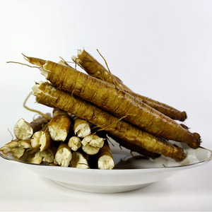 zj啊乐18164657134淘宝云南新鲜甜当归西归芹根整根