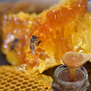 大凉山土蜂蜜纯正天然野味农家自产四川木桶结晶液态百花蜜500g装
