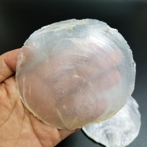 超大镜贝片95mm 天然云母贝片 自带七彩光泽 diy民族舞台饰品耳环