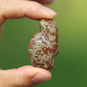 纯天然象形筋脉石原石/阿拉善玛瑙/经脉石/西藏天空 (收藏级)